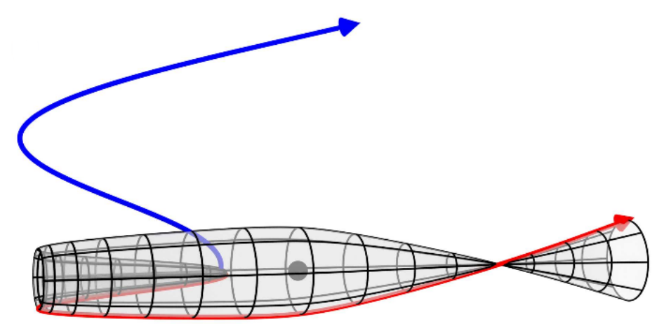 Focused and unfocused trajectories on the way out